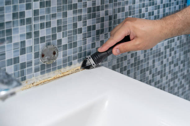 Best Commercial Mold Removal  in St Bonifacius, MN
